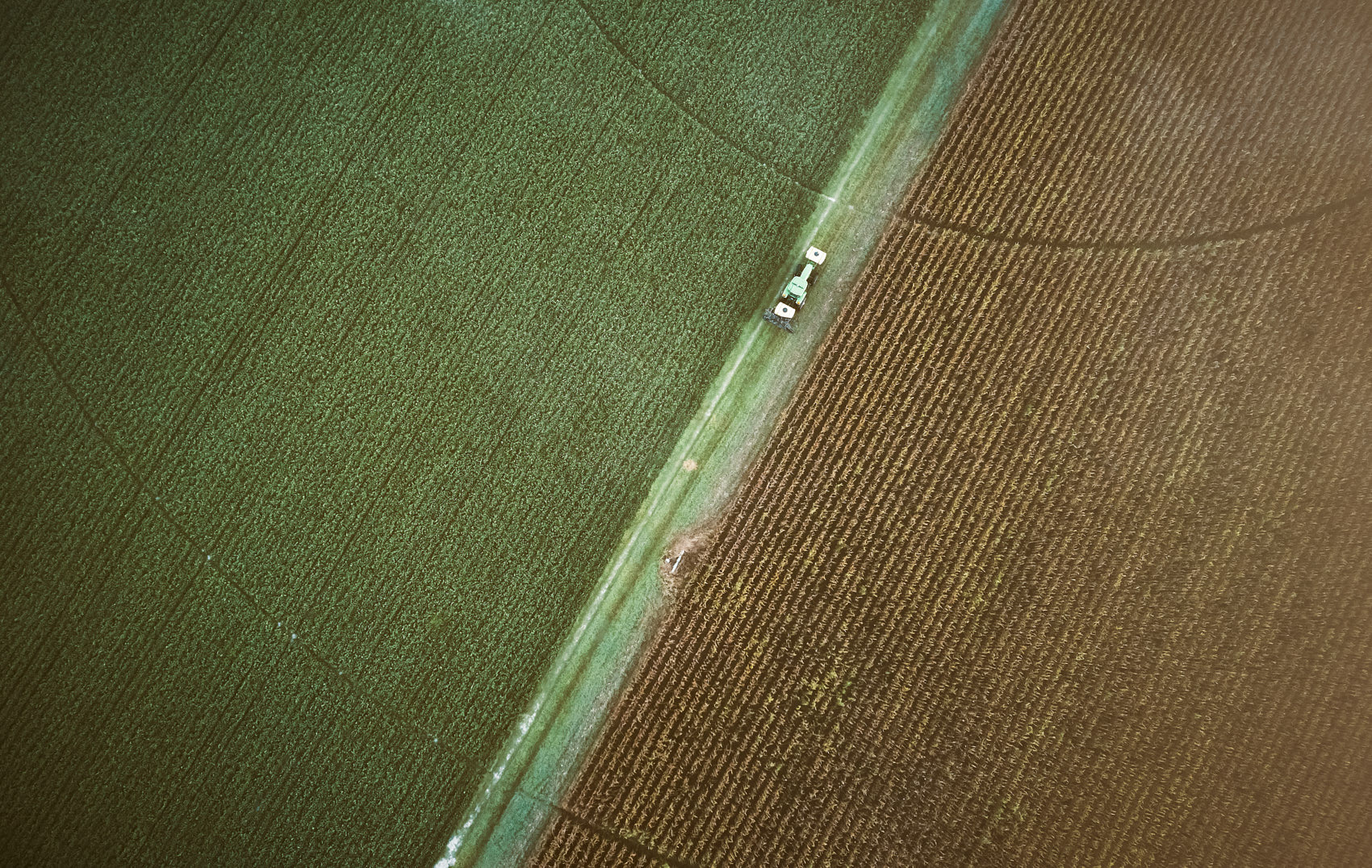 BROMLEY_FARM_0234_v1