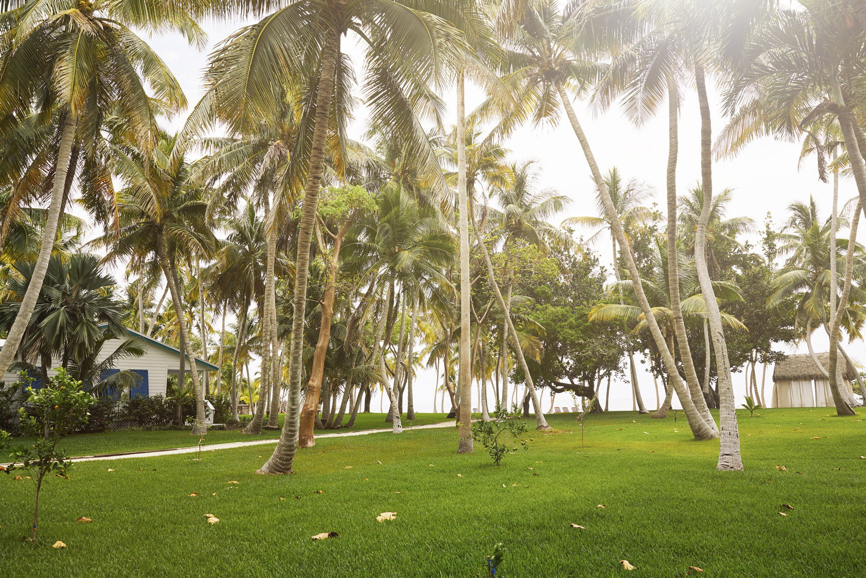 SOUTHBOUND_KEYS_CHEF_DANIEL_SCHILLINGER_0361_v1